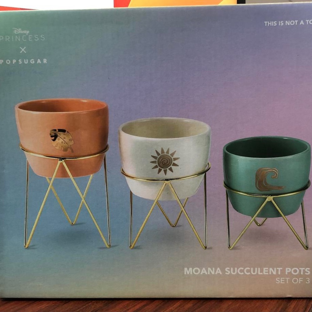 Disney X Popsugar Multi Moana Succulent Pot 3-Piece Set